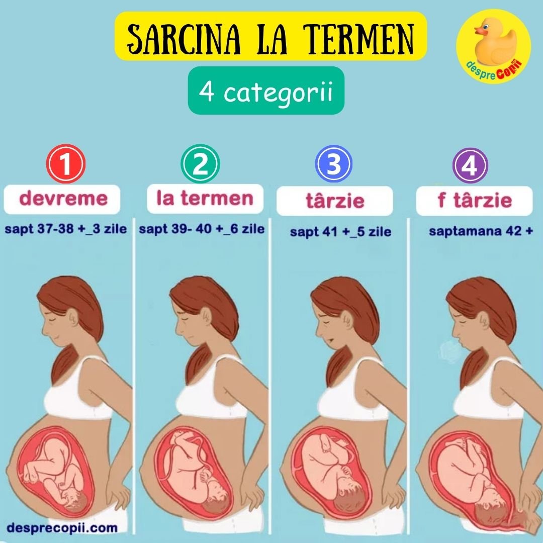 sarcina la termen